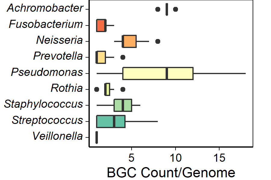 Boxplot of BGCs for common bacterial genera isolated from the airways of individuals with cystic fibrosis