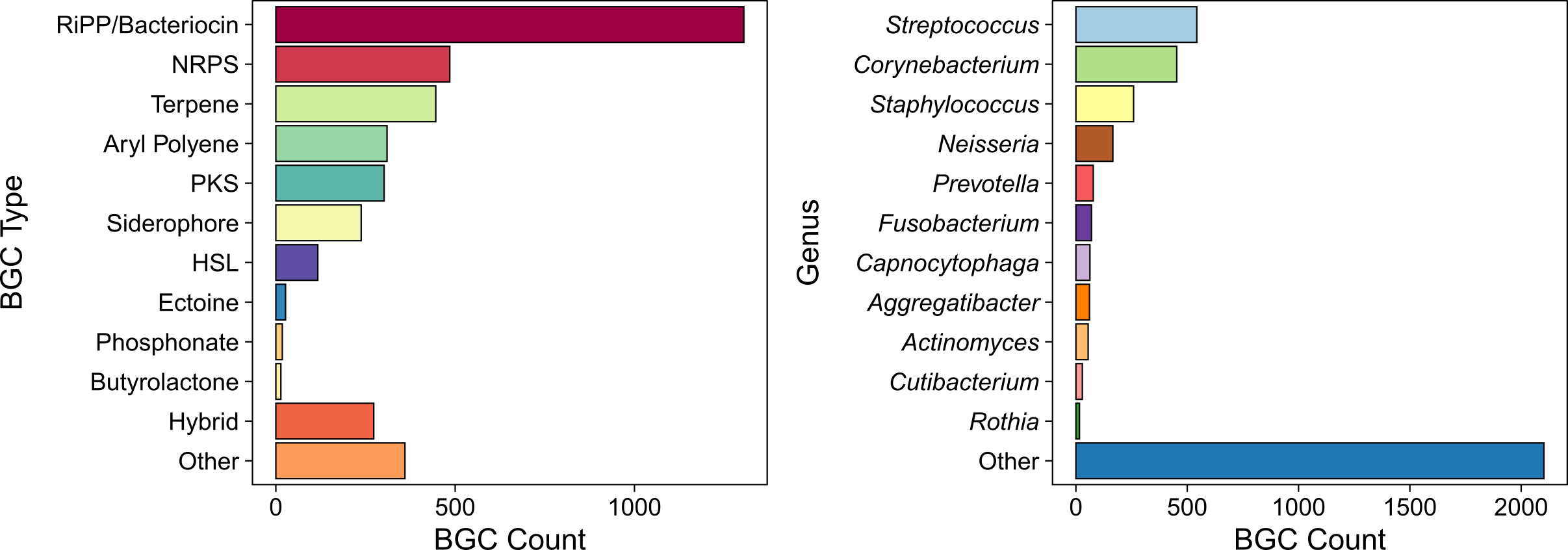 Graphs showing counts of different kinds of BGCs identified from aerodigestive tract bacteria and the types of bacteria that encode them. The most common types of biosynthetic gene clusters in the aerodigestive tract are RiPPs, NRPS, and terpenes. The most common bacterial producerrs are Streptococcus, Corynebacterium, and Staphylococcus.