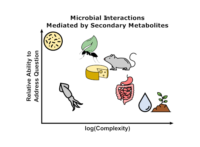 This is a graph showing the relationship between complexity on the X-axis and the ability to address a microbiome-specific question on the Y-axis. In this example, the question is related to understanding Microbial Interactions Mediated by Secondary Metabolites.